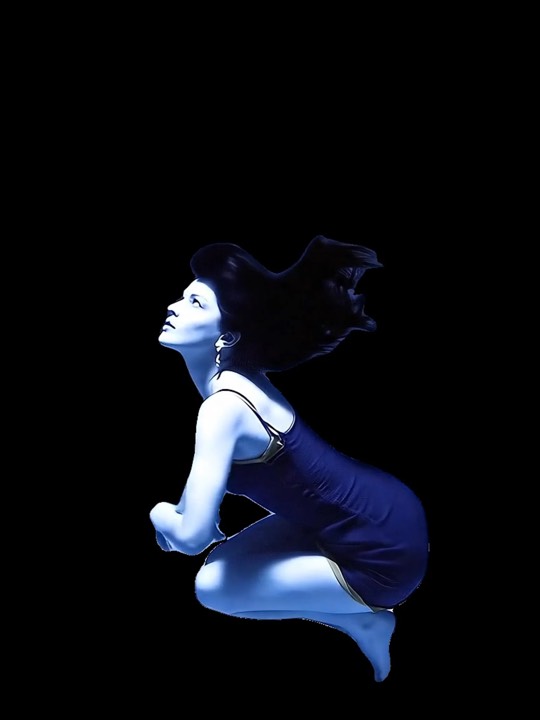 Sam3 Video render example