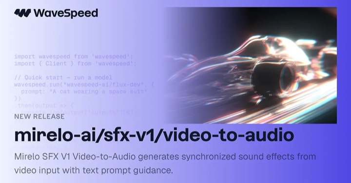 SFX 1.6 · Video to Video example reference.