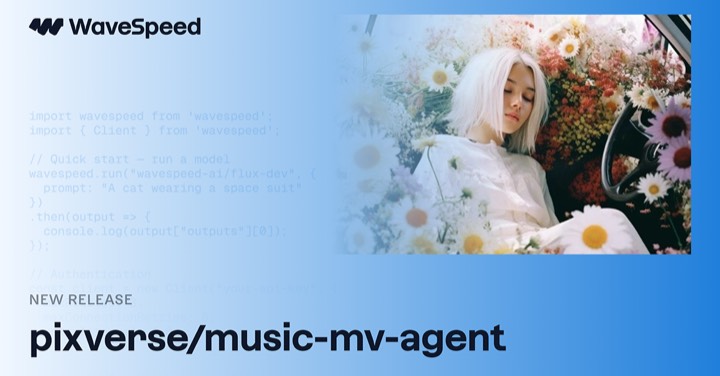 Music MV Agent example reference.